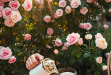أجمل صور صباح الخير