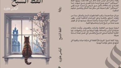 رواية القط الشبح