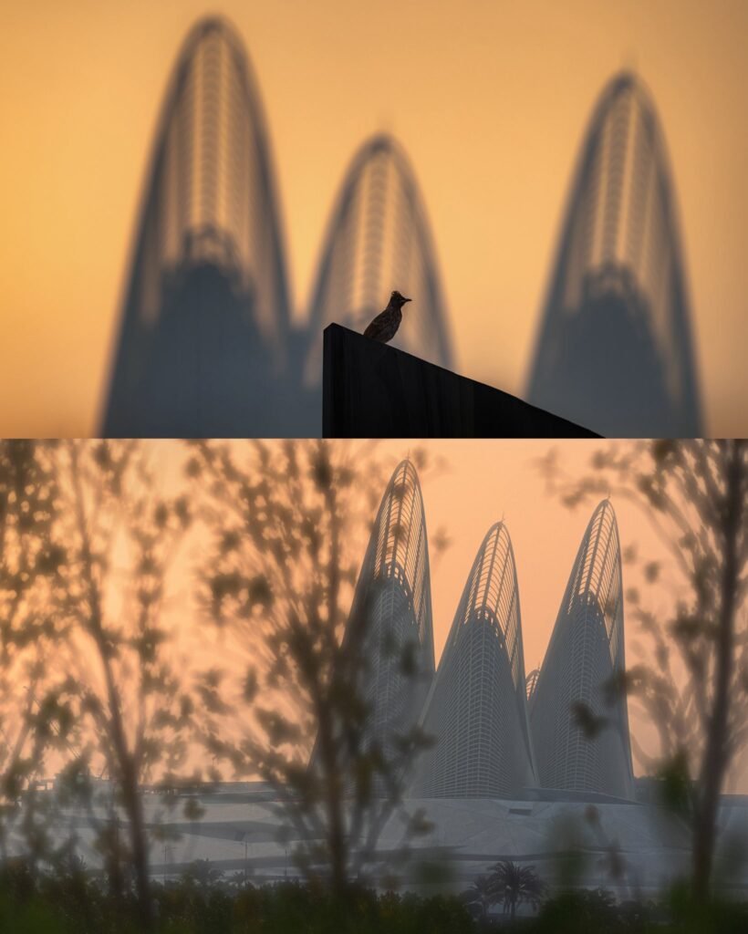 متحف الشيخ زايد