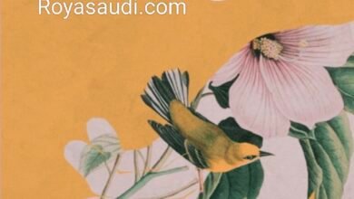 معنى الحياة لباسكال شابو