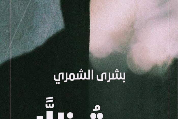 صرت ظلا متاهة الشعر والصمت